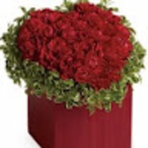 Meet your Posher, Bobby